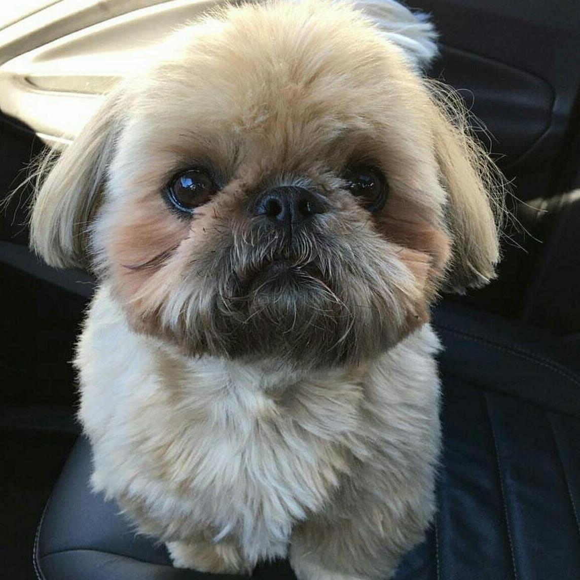 Our daughter, Puddles