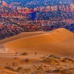 Coral Pink Sand Dunes State Park