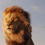 Lion Country Safari
