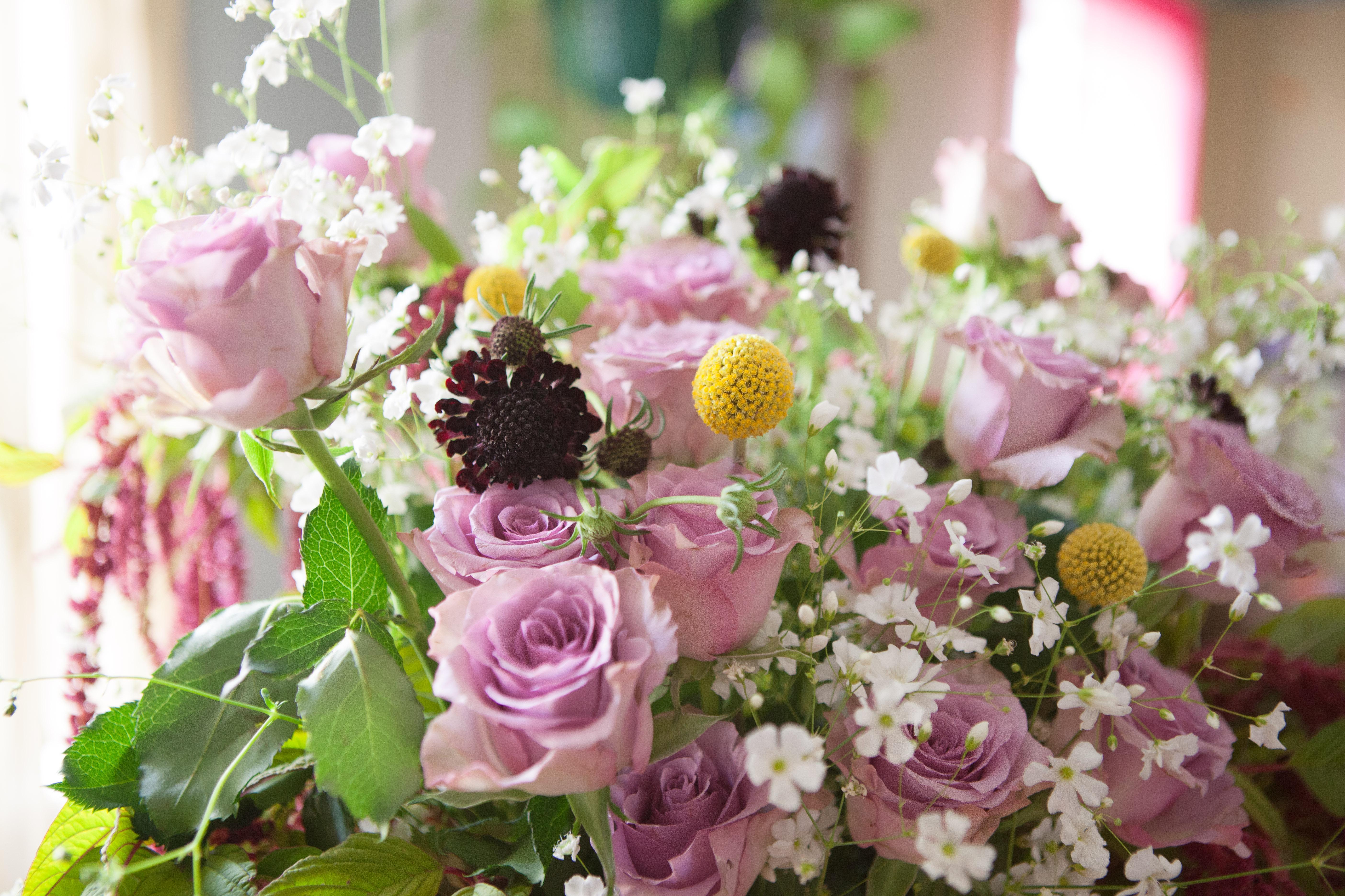 The Wedding Website of Maggie Miller and Fred Arbegast