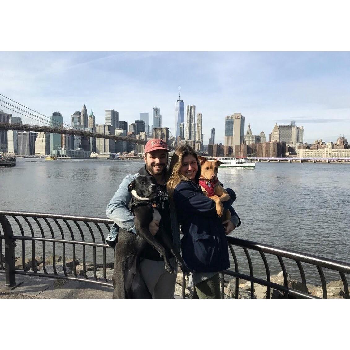 The family's favorite walking spot.
Dumbo, NY - January 2018