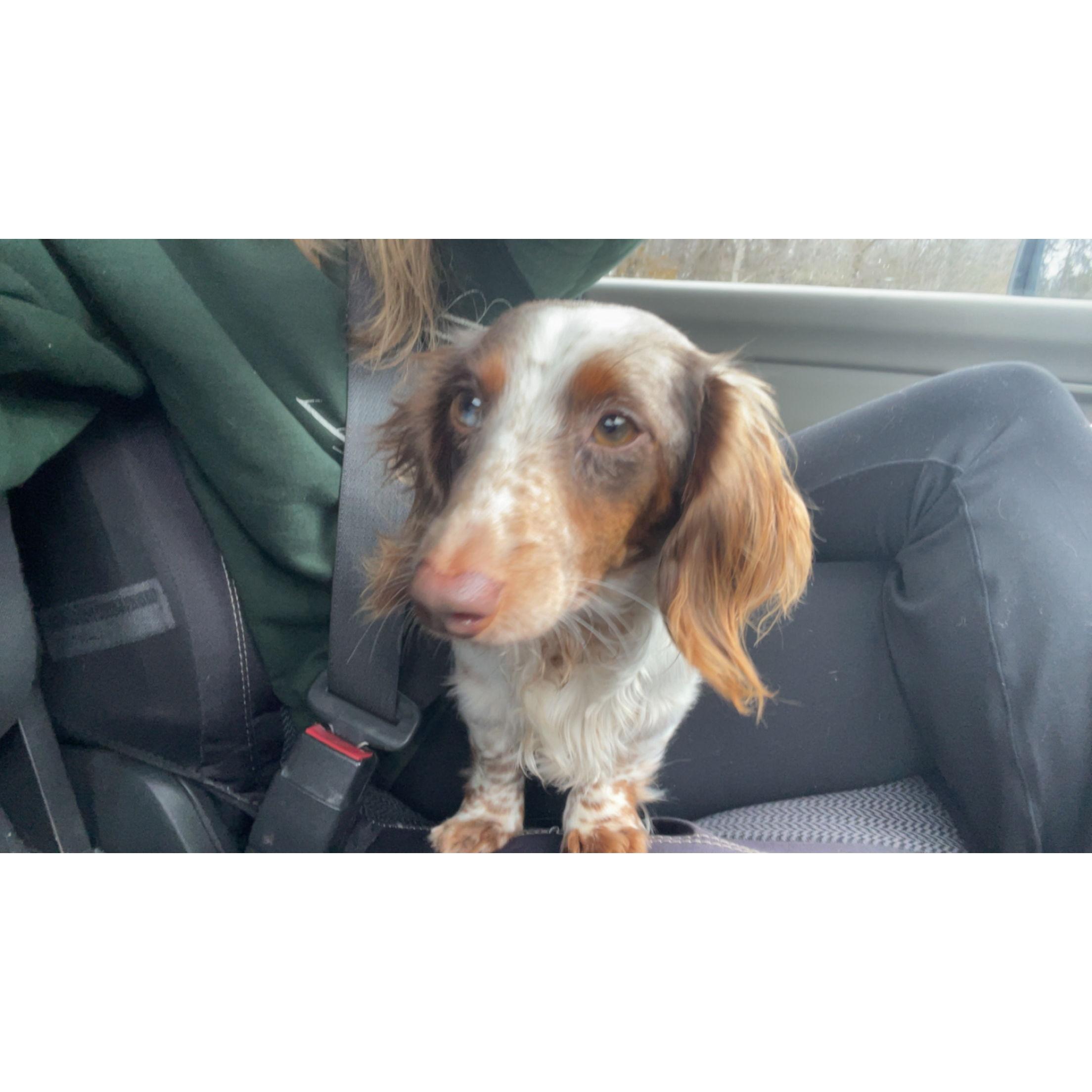 Our beautiful baby girl, Tilly