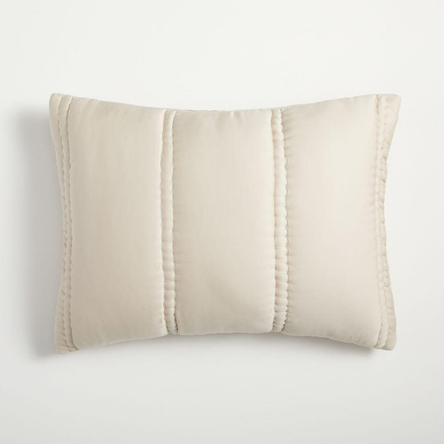 Silky TENCEL Plush, Standard Sham, Sand