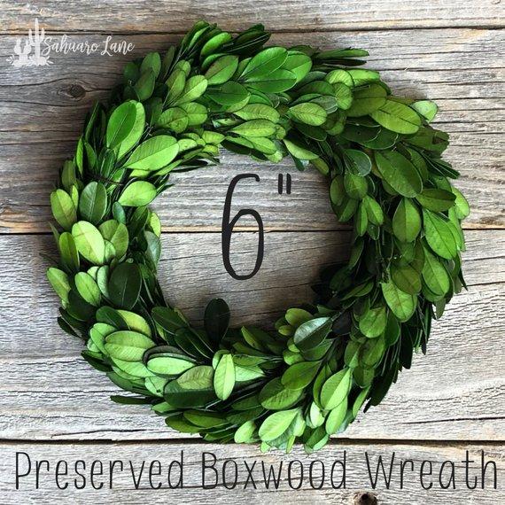 6" Preserved Boxwood Wreath - Boxwood Wreath - Small boxwood wreath - Mini Boxwood wreath - farmhouse wreath - craft wreath - green wreath