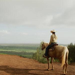 Lanai Horseback Tour