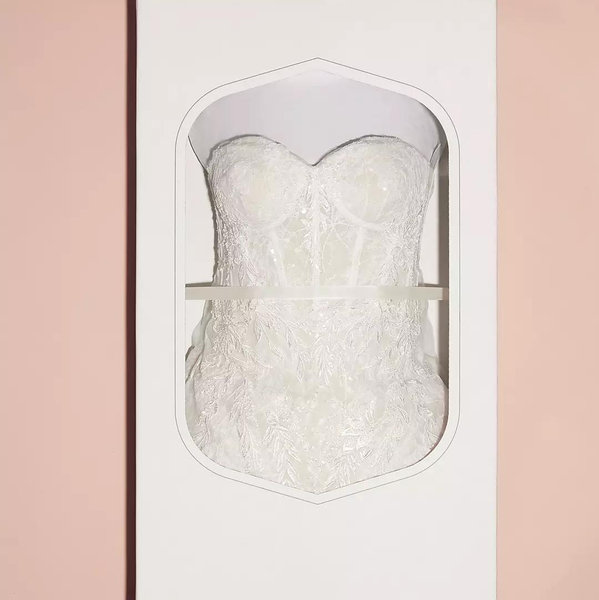 Wedding Dress Preservation