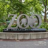 Philadelphia Zoo