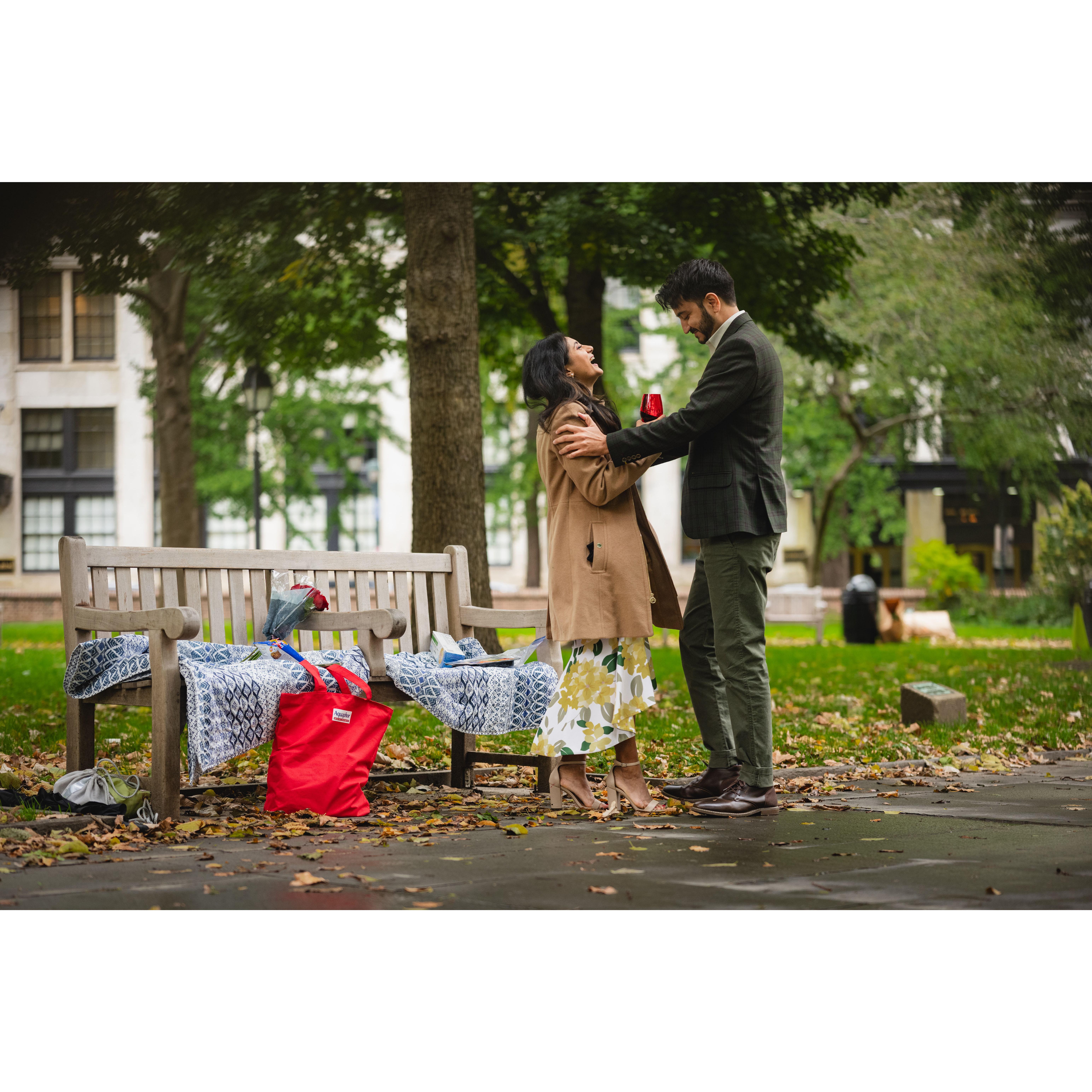 The picnic of the proposal