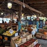 Darnell Farms