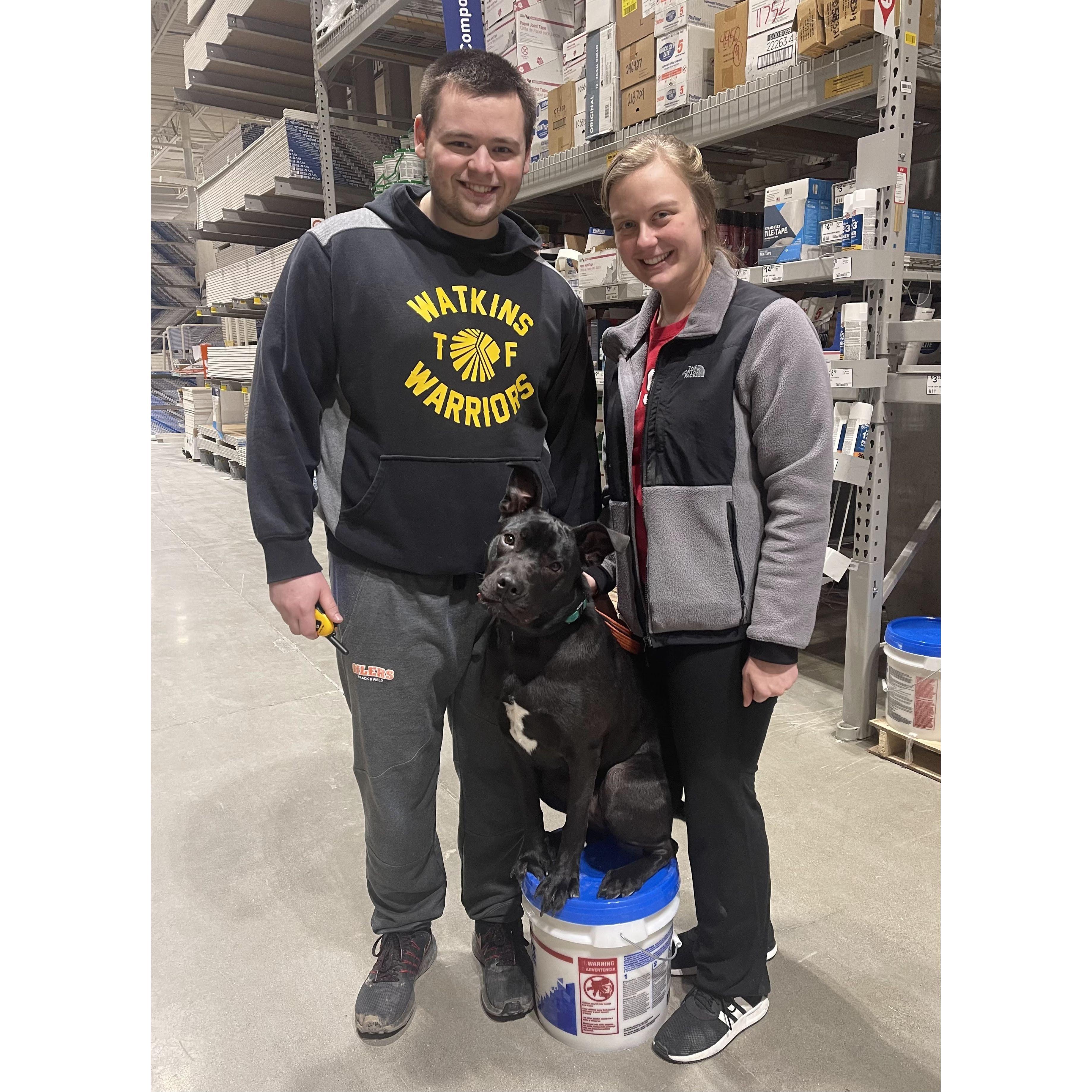 Dog training at Lowe's. They got Revia to "place" on a paint bucket!
