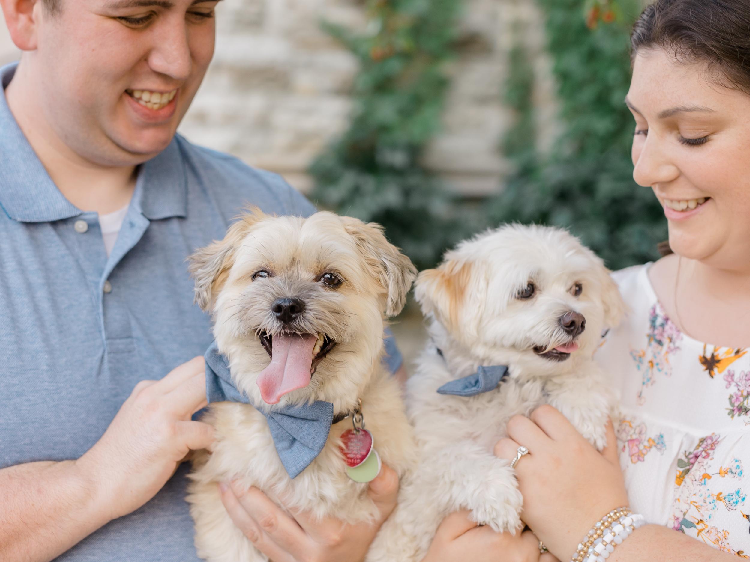 The Wedding Website of Steven Horner and Abbigail Hesse