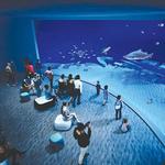 North Carolina Aquarium at Fort Fisher