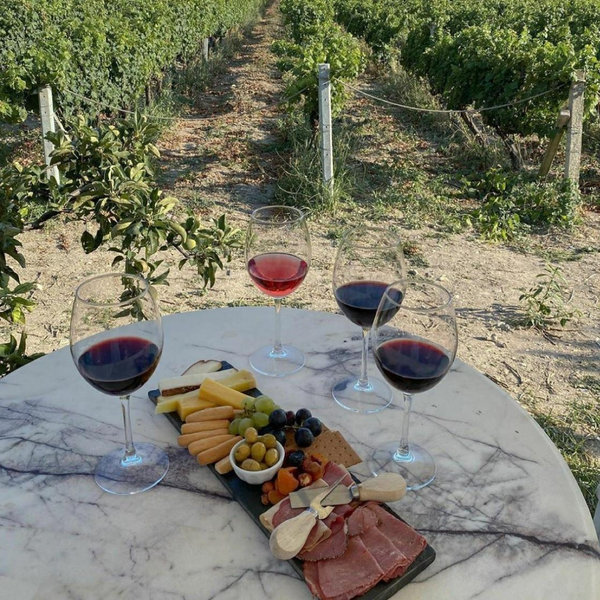 Wine Tour in the Countryside of France
