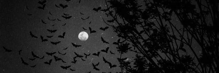 The Wedding Website of Melissa Wadell and Jack Walker