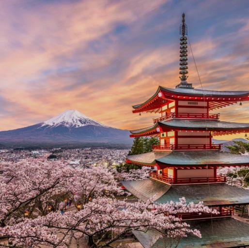 Honeymoon to Japan!! 🌸💛