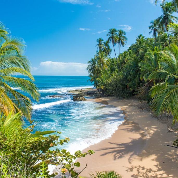 Honeymoon in Costa Rica