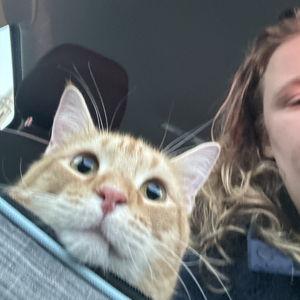 emergency vet fund