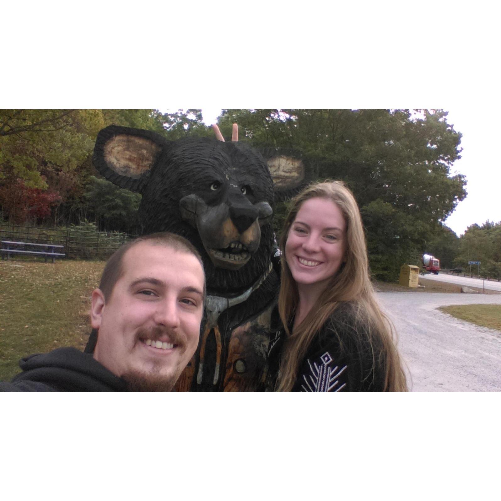 Bear friendly !