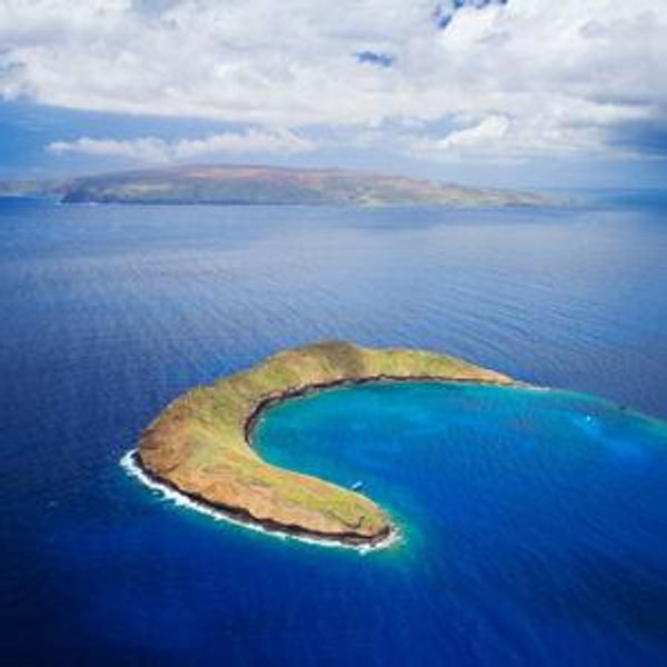 Guided Snorkeling Tour @ Molokini Crater