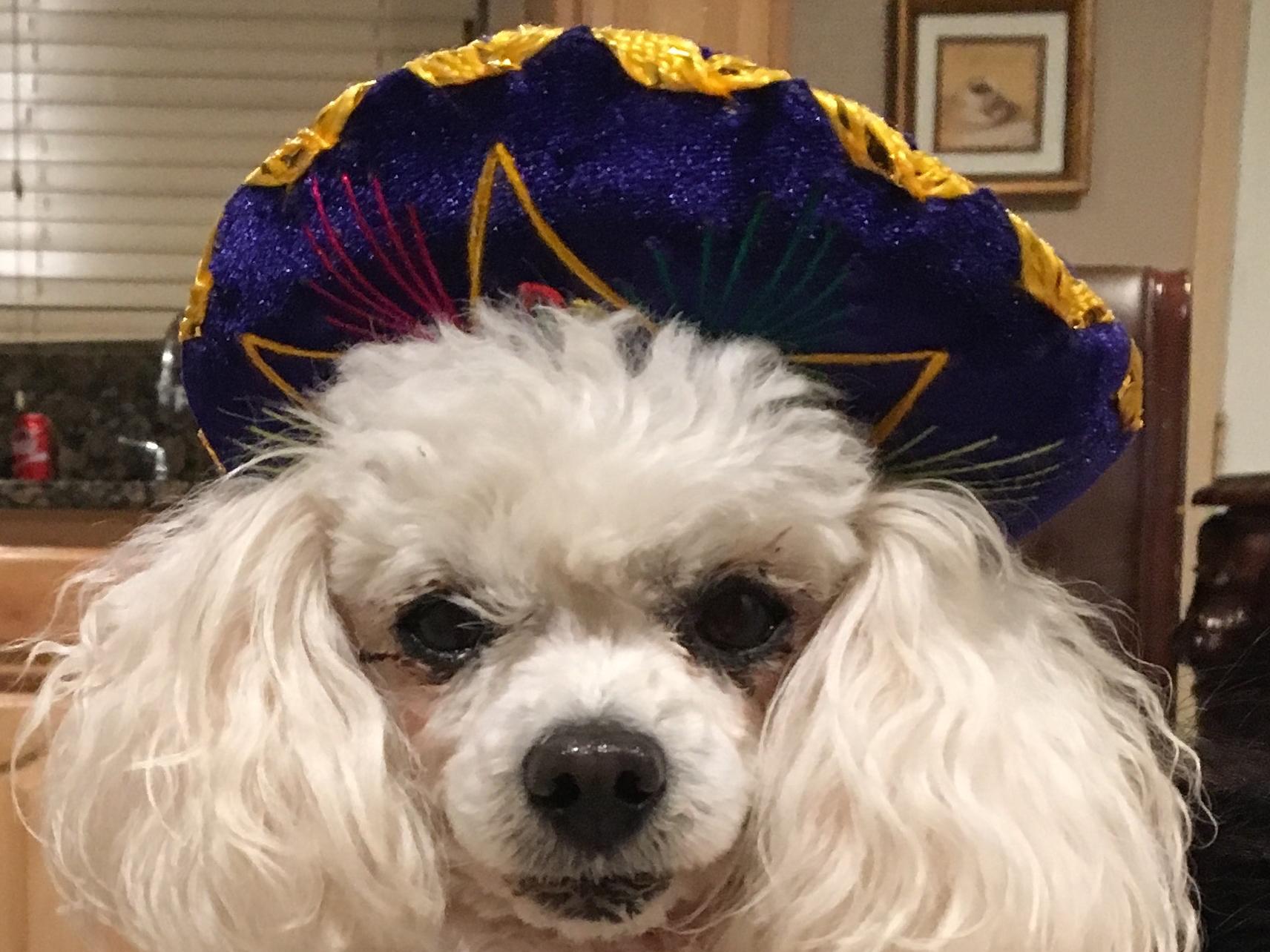 The Wedding Website of Ana Arias and Kevin Burns