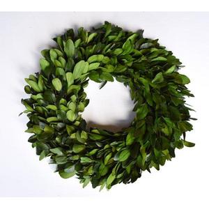 Preserved Laurel Wreath