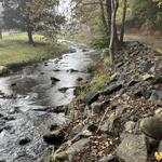 Bakersville Creek Walk