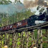 Puffing Billy Railway