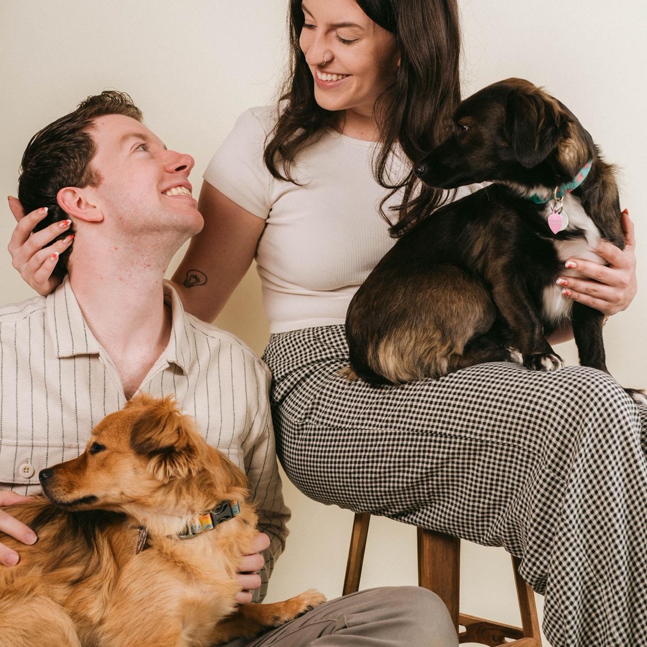 Adopted our sweet boy, Ringo!