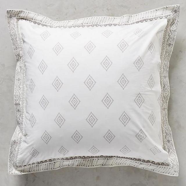Embroidered Pointilliste Euro Sham