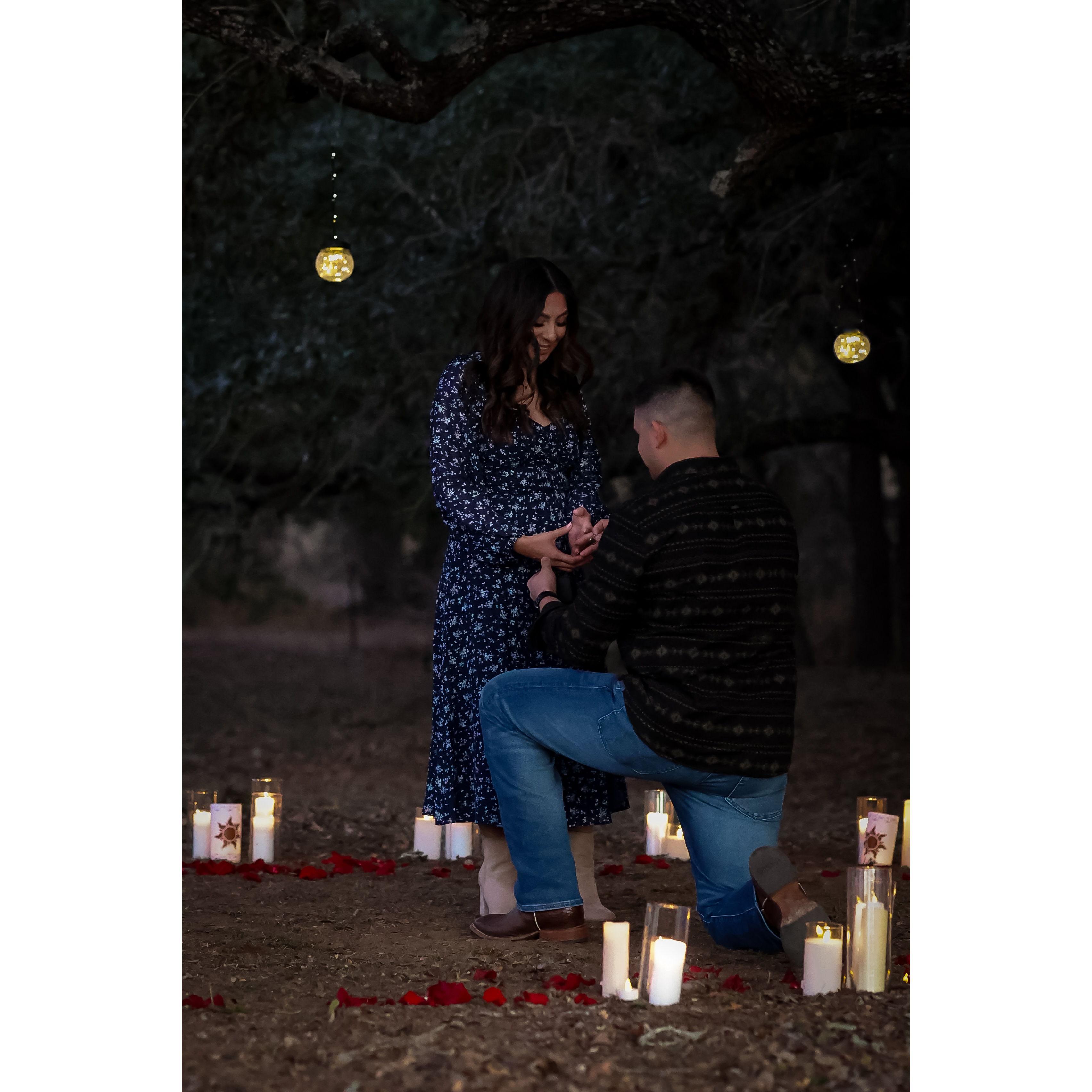 January 31, 2025 "Proposal"