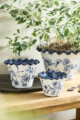 Ruffled Blue Lace Terracotta Planter