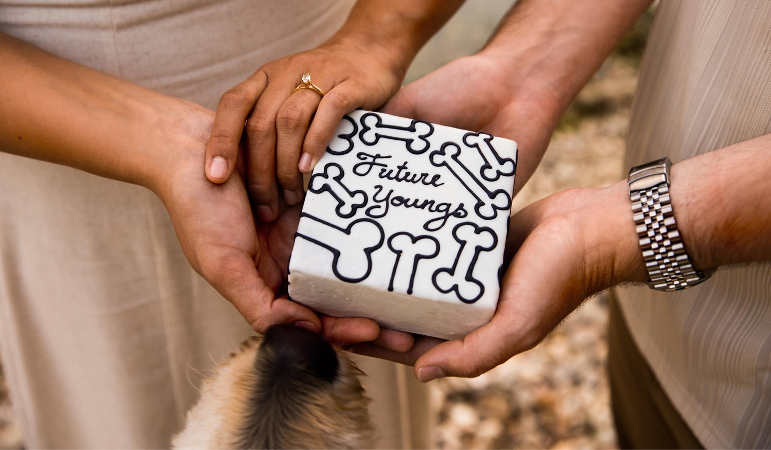 Footer image