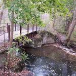 Charlie Major Nature Trail