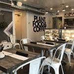 Lunch - Fox and Fig Cafe