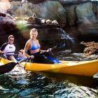 Kayaking in La Jolla Cove