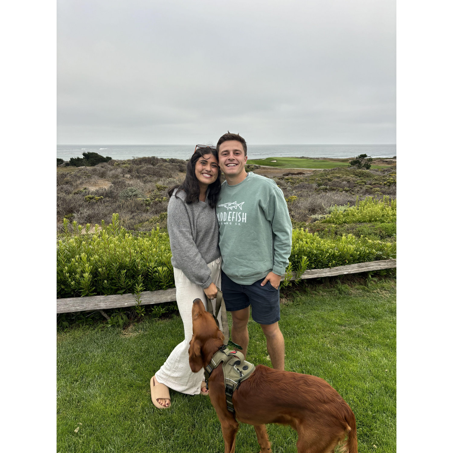 Our five year anniversary trip to Carmel-by-the-sea. Of course, we brought Billy!