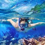 Isla Catalina Day Trip