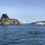 Seward