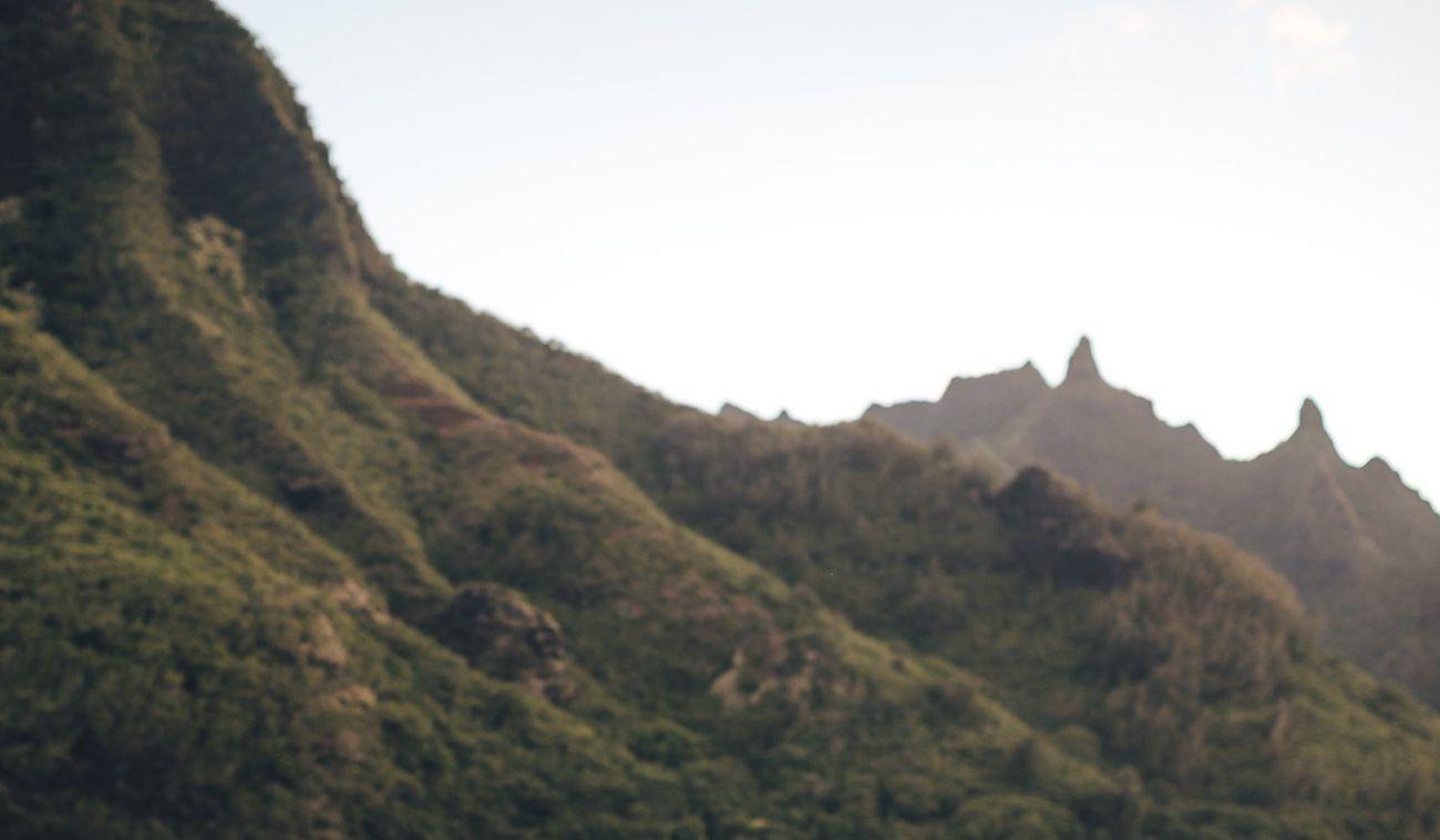 0f8311aa-1636-431b-bb40-7080acc82cca