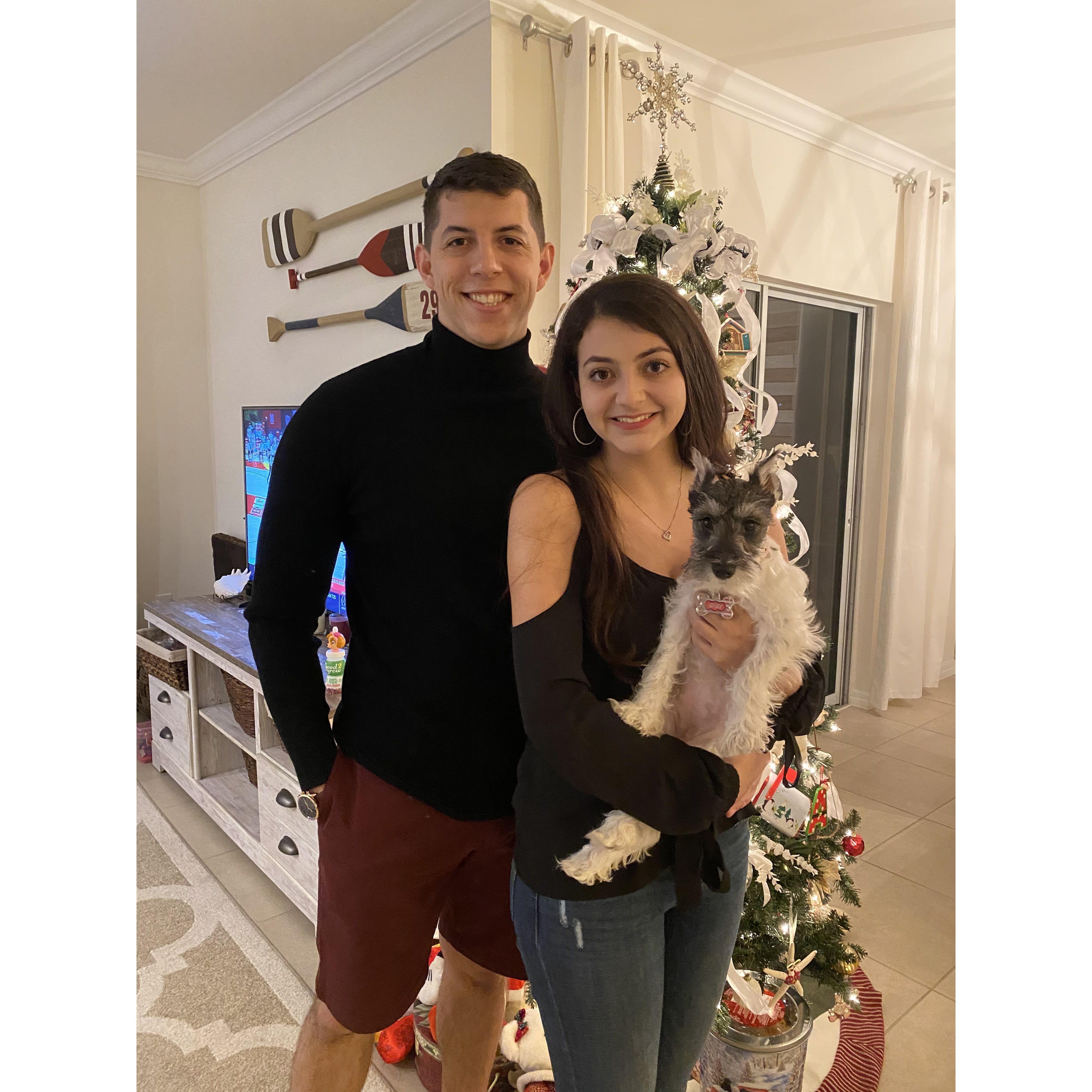Our first Christmas with our new puppy Gigi
