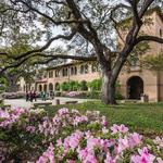 Louisiana State University