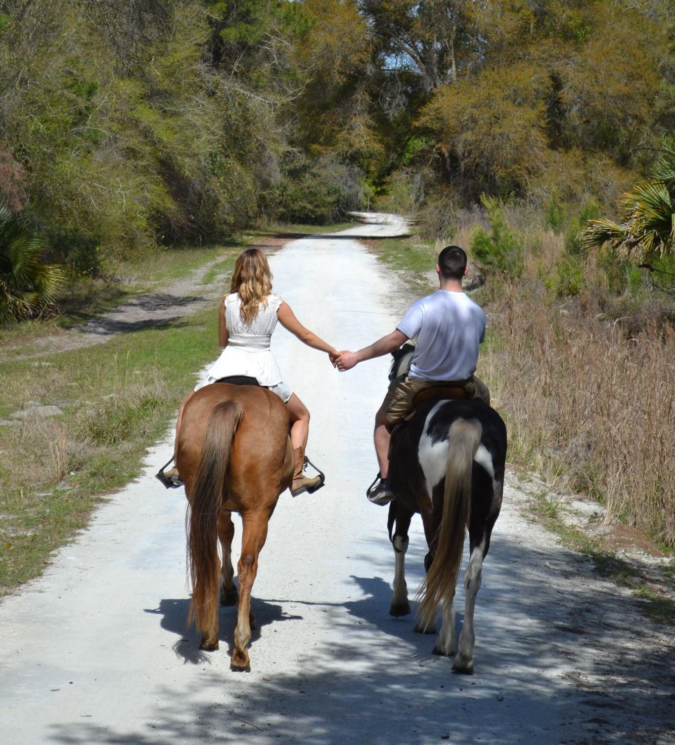 The Wedding Website of Alyssa Letourneau and Drew Gage