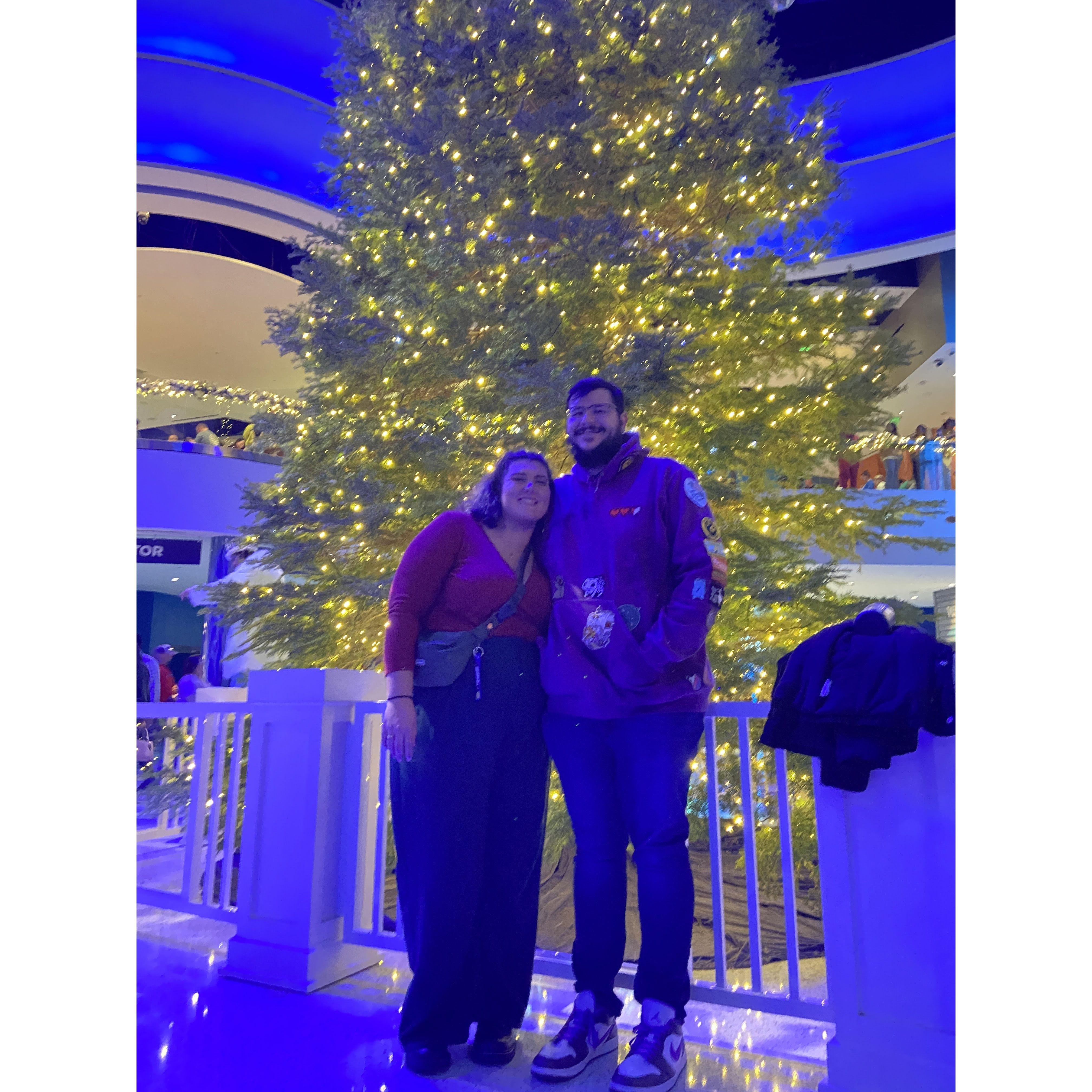 Look how beautifully the aquarium was set up for the holidays!