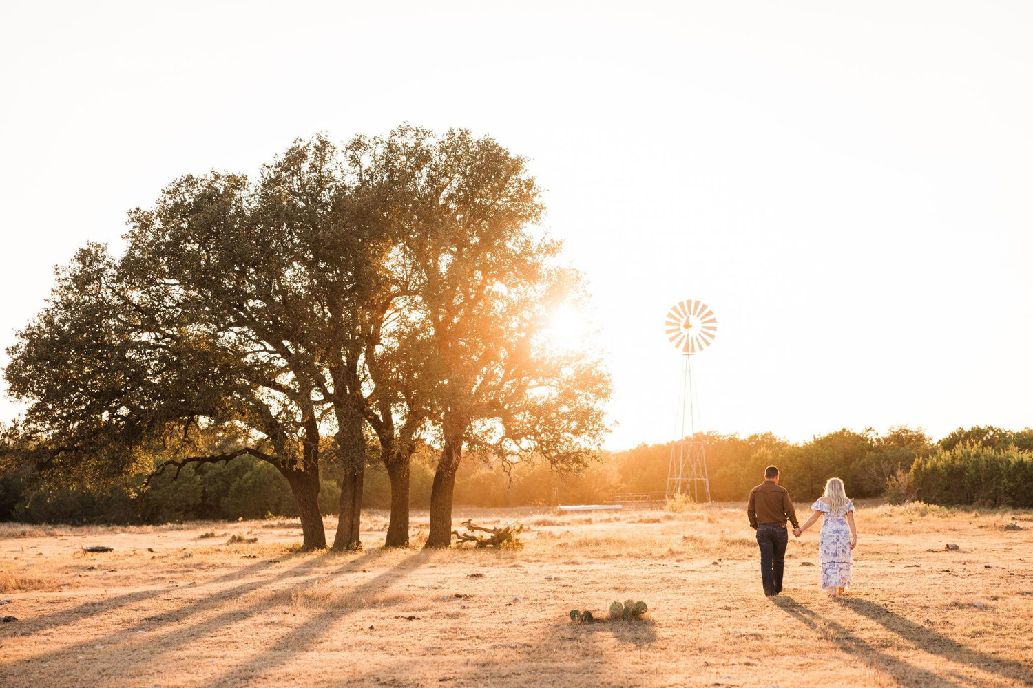 The Wedding Website of Avery Meers and Dakota Carson