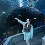 Ripley's Aquarium of the Smokies