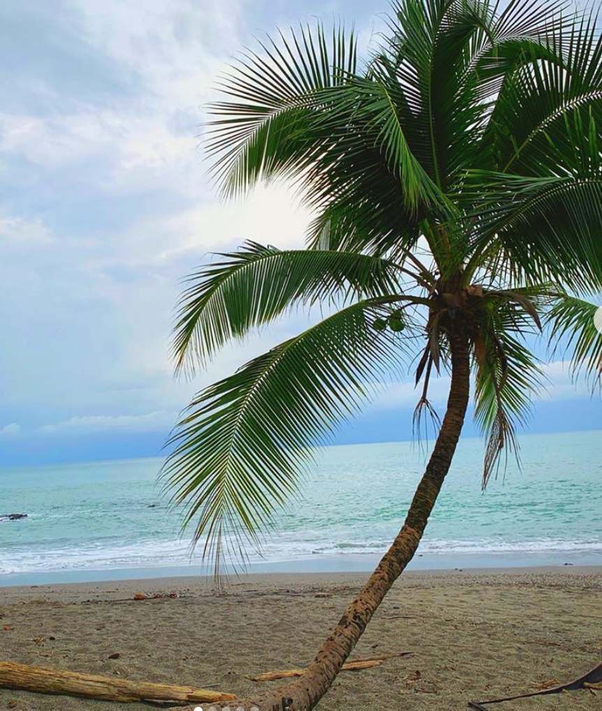 The Wedding Website of Geoff Braboy and Melissa Kennedy