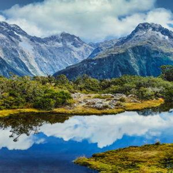 New Zealand Honeymoon Fund
