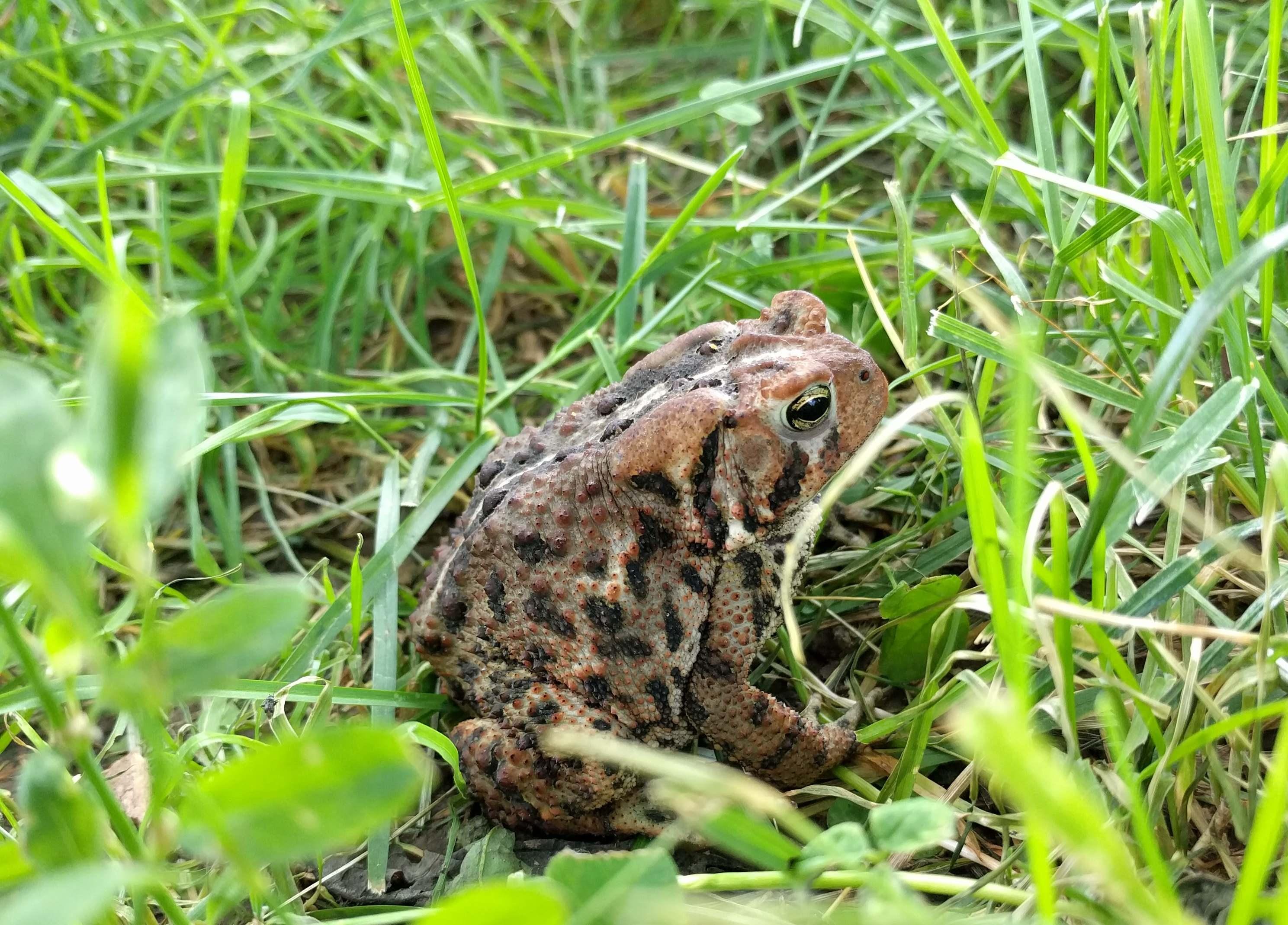 The Wedding Website of Wayde Lawler and Taryn Lawler