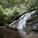 FALLS BRANCH FALLS