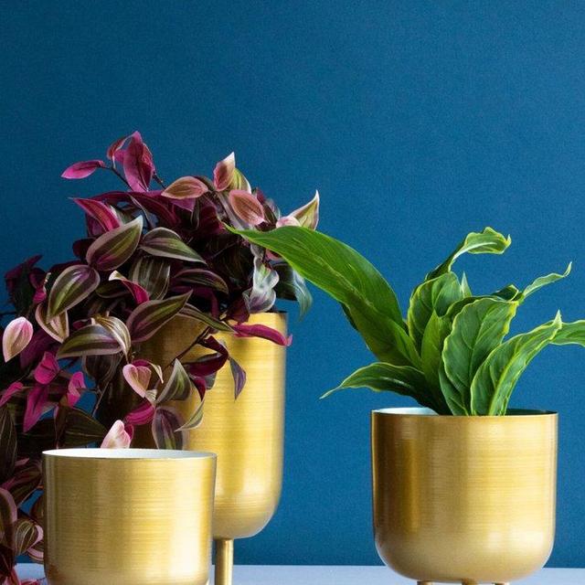 Modern Brass Planter